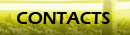 Contact Information